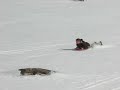 Sliding Columbia Icefield