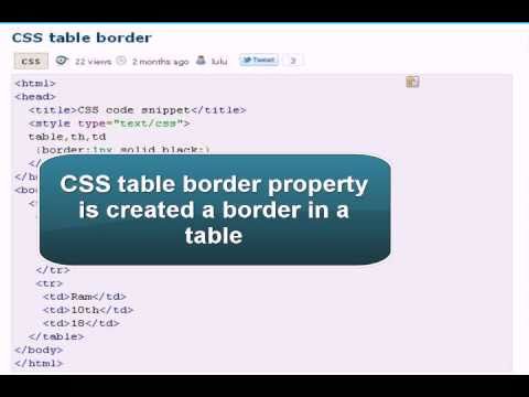 how to remove td border in css