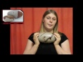 Shiva Lingam