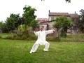Chen Style Taiji Quan