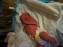 Evalynn Just Born 01 Evalynn Just Born 01