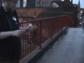 Werrd XXXXL Werrd XXXXL