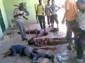 Click here to watch this video Libia - delincuente rebelde abatidos por patriotas de la Jamahriya en Sorma.flv