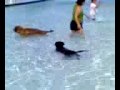 Walter Swimming