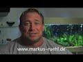 Markus Ruehl retires
