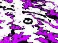 Naruto Acid Trip