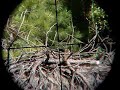Ground Squirrel Kill Verification