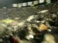 Kayserispor - Trabzonspor Maçı Tribünler | video.ksfan.org