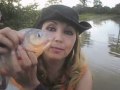 PIRANHAS PIRA�AS ATTACKS ATAQUE