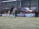 equid\ equid\