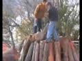 a focara a bocchigliero a focara a bocchigliero