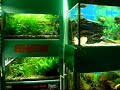 akwarium-wwwakwarystyka24info-akwarium-akwarystyka.html