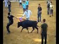Vaquillas Saul Almendralejo