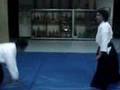 Aikido, suwari waza, basic ukemi, various techniques