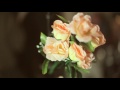 Video shame - The Lick (Live at Dropout Studios) Video shame - The Lick (Live at Dropout Studios)