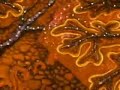 Fertilization & Fetal Development