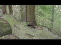Visite guidée du Fort de Villiers