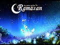 Adem Ramadani Palestin teil.4
