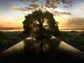 The Fountain ("Adore" - Renee Stahl)