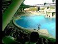 parco oltremare riccione delfini 3