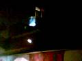 videos de V FOR VENICE 06.09.2008 by el piccero