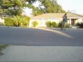 Mini Longboarding Whaley AVE