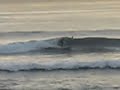 Surf\