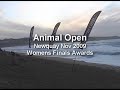 Animal Open Womens Surf Final Newquy - Gabi Rowe, Zoe Sheath & Sophie Hellyer