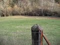 Prat de la Bassa - La Mola d\