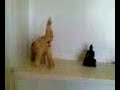 nob-hill-tower-san-franscisco.html