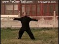 Chen 108 Long Fist