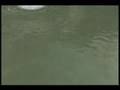 videos de Halo 3 - Goin' Swimming, BRB