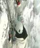 Ice Climbing - Sophie