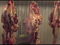 YouTubeサムネイル[Ja9_-NtdSOQ] - 3枚目
