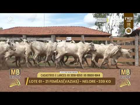 9� MEGA LEIL�O DA MB LEIL�ES