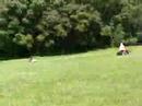 videos de hillbilly sledding