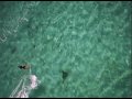 Windsurfing and Kiteboarding on Andros Island, Bahamas - 01-26