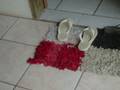 videos de Lagartixa com câncer 2