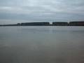 Dunav kod Vinche