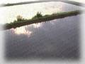 雨ニモマケズ東北弁朗読 今野東
