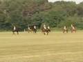 Poloverslag voor Brabant10