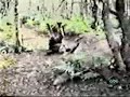 Ezek nagyon h�ly�k!