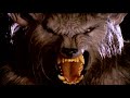 Trailer Vampire The Masquarade Trailer Vampire The Masquarade