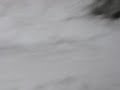 Sledding - Patte crash, B goes to lunch