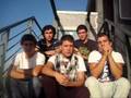 Cortineta Canal Cole TV Cool 63
