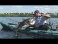 Giant Kayak Snook! Sanibel FL HQ Chew On This Fishing Video