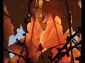 Herbst-Impressionen im Frankenwald