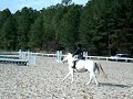 PHJA Year End Event Long Stirrup Hunter O/F C