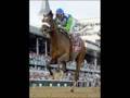 Barbaro: The Life Of A Legend