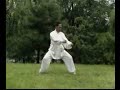 Hunyuan Taijiquan Paochui Hunyuan Taijiquan Paochui